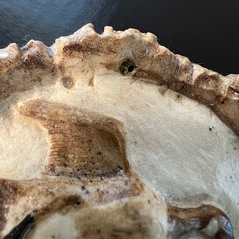 Handmade elk horn belt buckle - Picture 8 of 8
